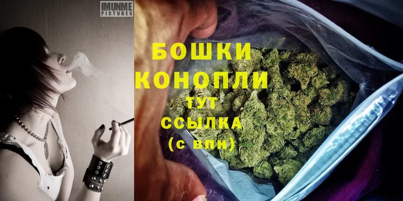 Канабис OG Kush  Карачев 